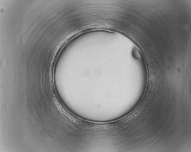 X0000051920840200507152055