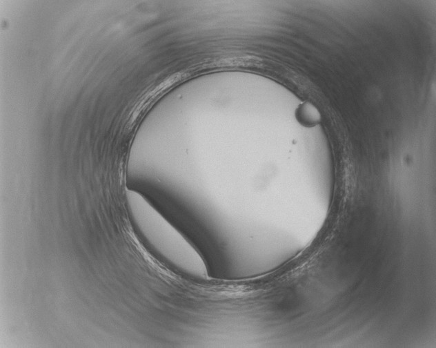 X0000051920841200507152055