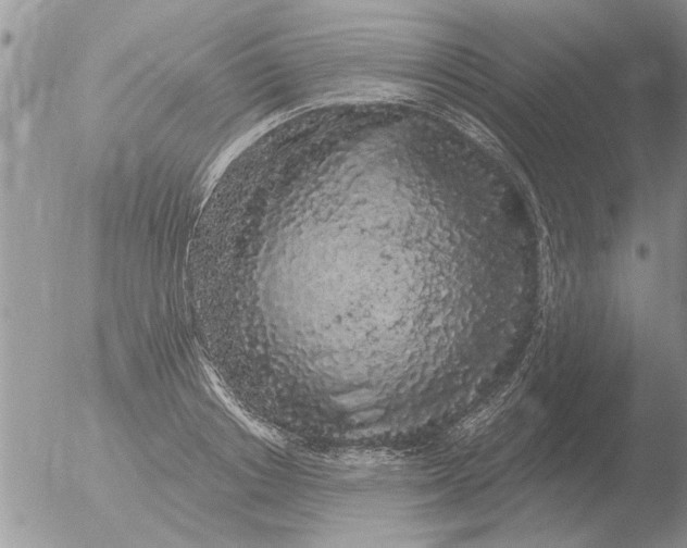 X0000051920842200507152055