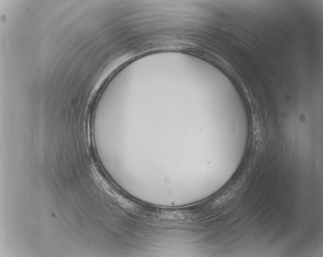 X0000051920843200507152055