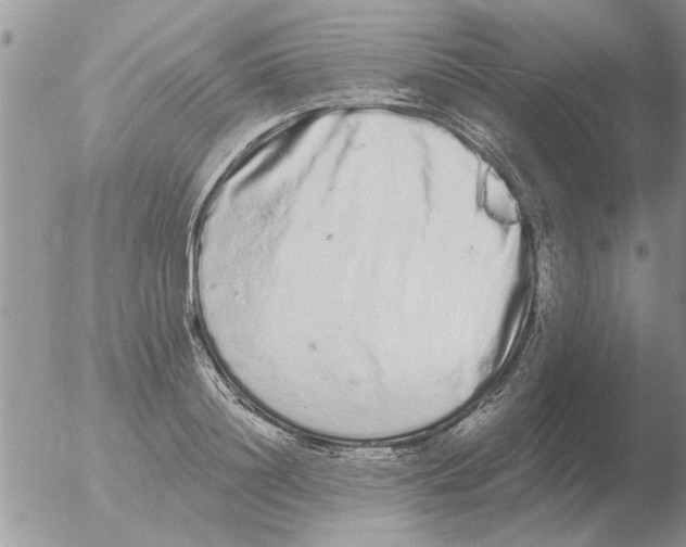 X0000051920844200507152055