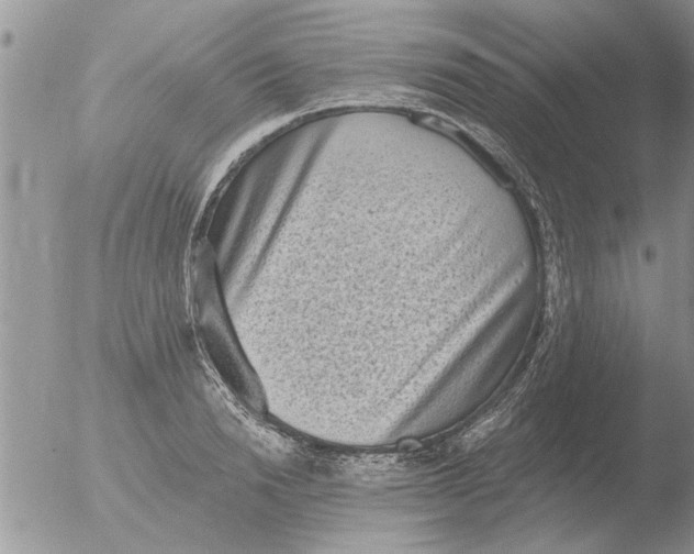 X0000051920846200507152055