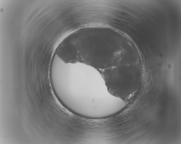 X0000051920847200507152055