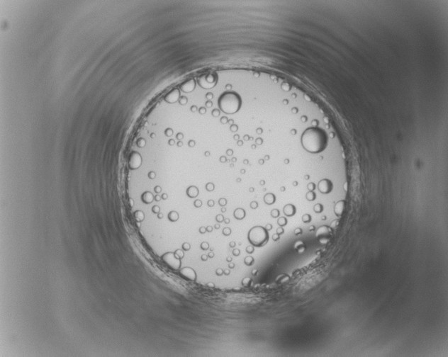 X0000051920848200507152055