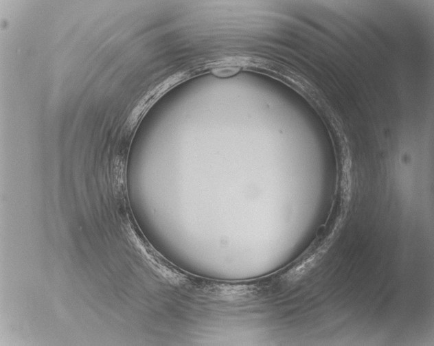 X0000051920849200507152055