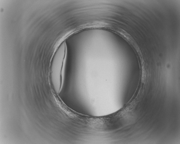 X0000051920850200507152055