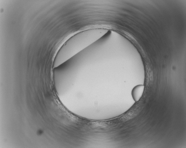 X0000051920852200507152055