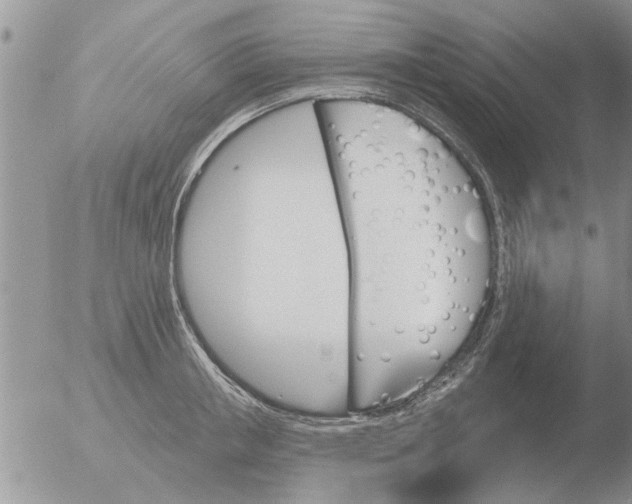 X0000051920853200507152055