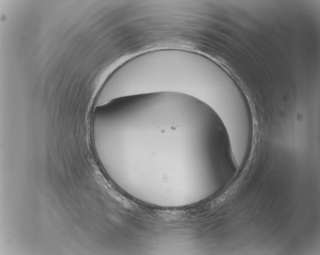 X0000051920854200507152055