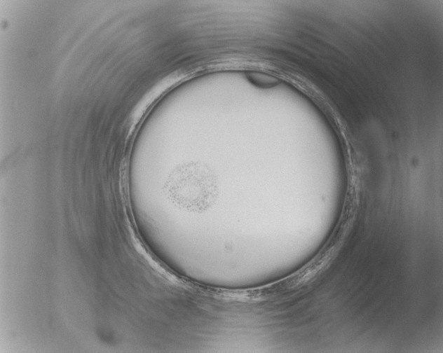 X0000051920855200507152055