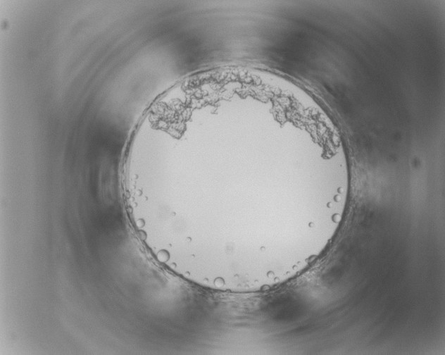 X0000051920856200507152055