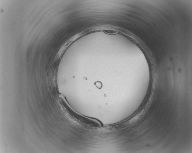 X0000051920857200507152055