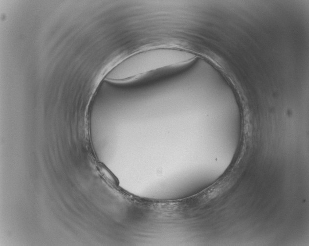 X0000051920858200507152055