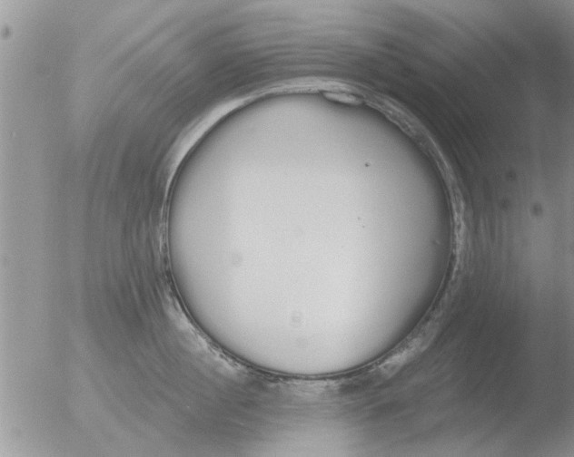 X0000051920860200507152055