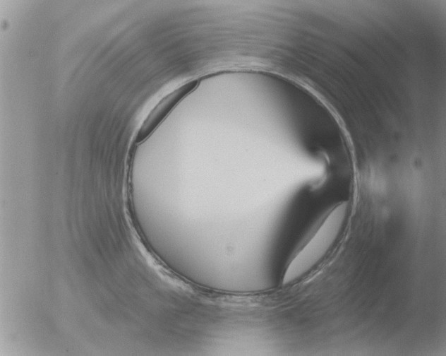 X0000051920861200507152055