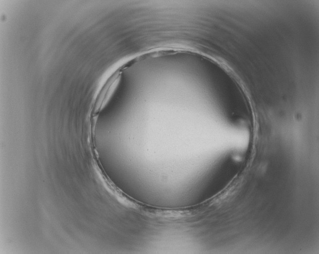 X0000051920862200507152055