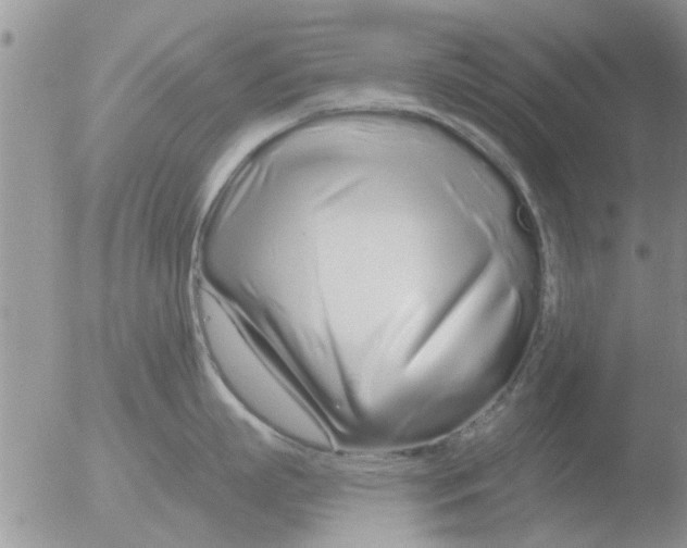 X0000051920863200507152055