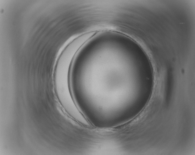 X0000051920864200507152055