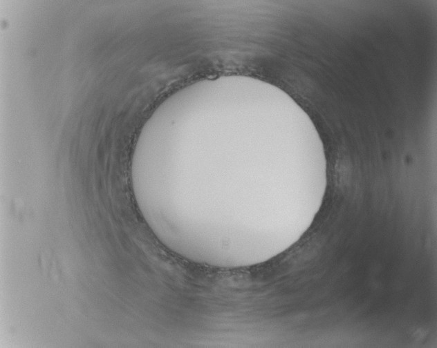 X0000051920865200507152054