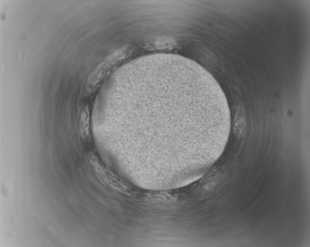 X0000051920866200507152054