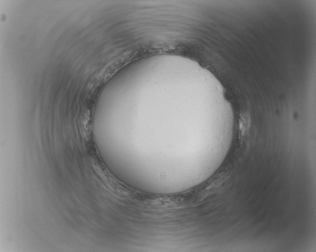 X0000051920867200507152054