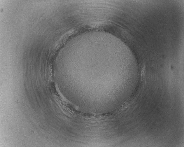 X0000051920868200507152054