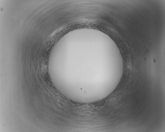 X0000051920869200507152054