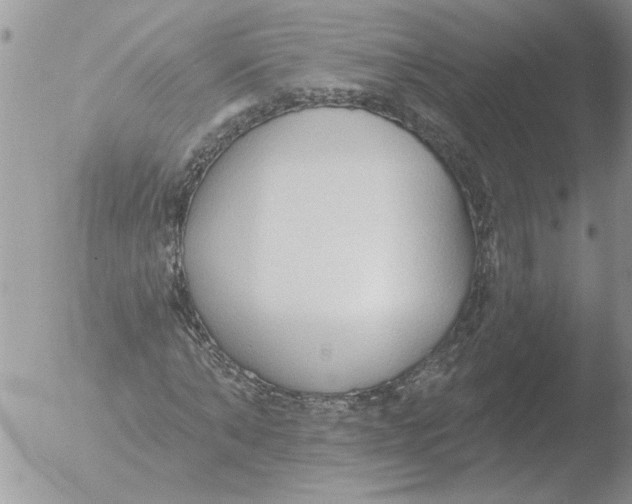 X0000051920870200507152054