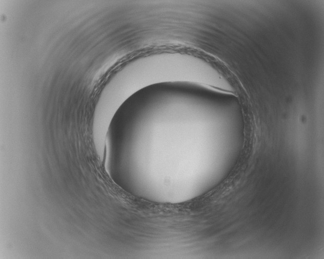 X0000051920871200507152054