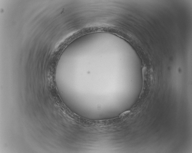 X0000051920872200507152054