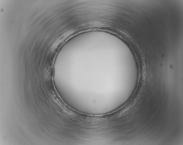 X0000051920873200507152054