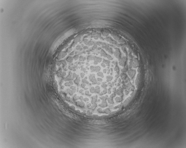 X0000051920874200507152054