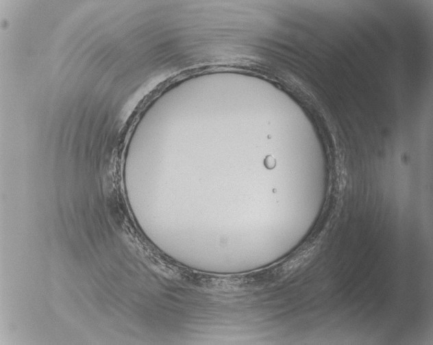 X0000051920875200507152054