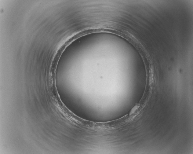 X0000051920876200507152054