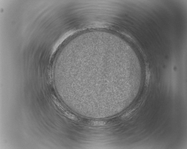 X0000051920878200507152054