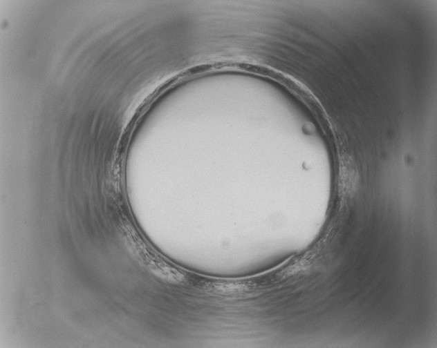 X0000051920879200507152054