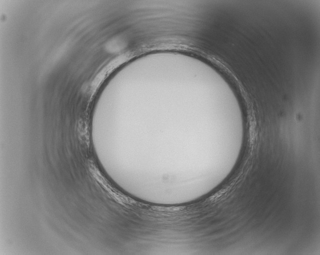 X0000051920882200507152054