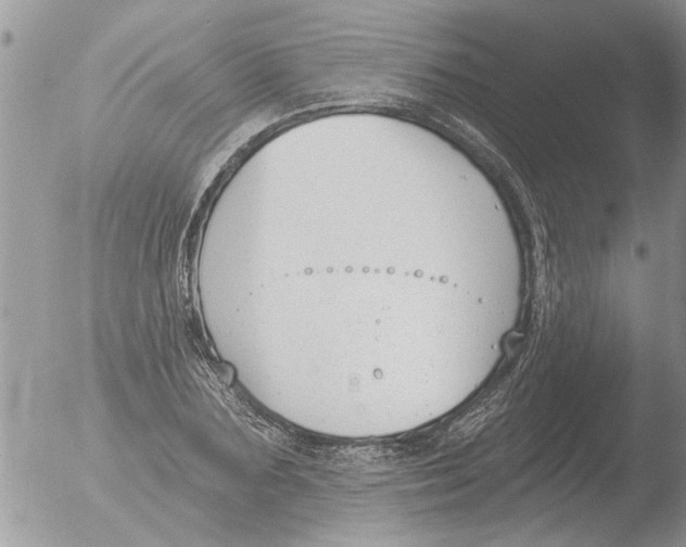 X0000051920883200507152054