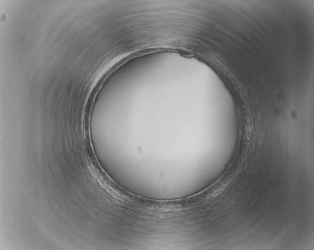 X0000051920884200507152054