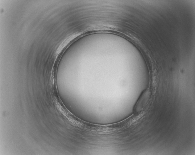 X0000051920885200507152054