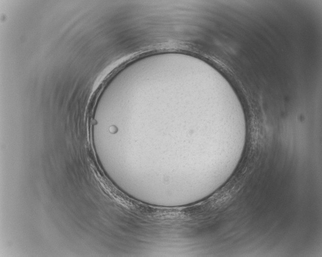 X0000051920886200507152054