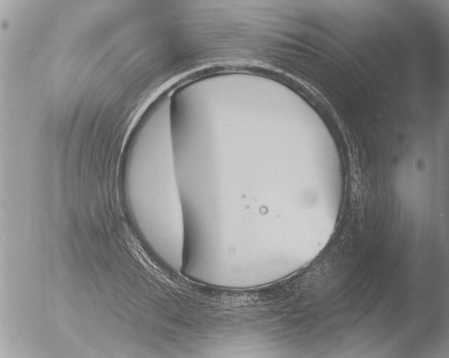 X0000051920887200507152054