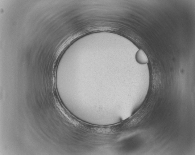 X0000051920890200507152054