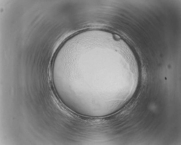 X0000051920891200507152054