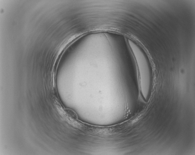 X0000051920892200507152054