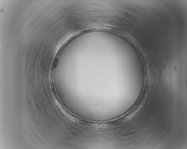 X0000051920893200507152054