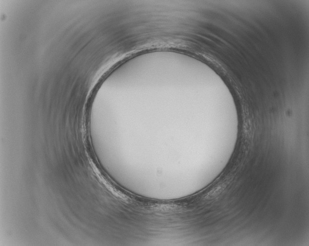 X0000051920894200507152054