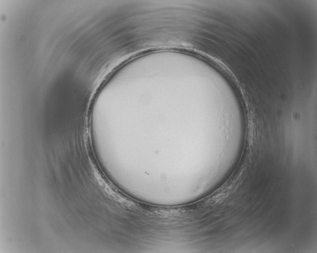 X0000051920895200507152054