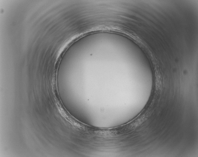 X0000051920896200507152054