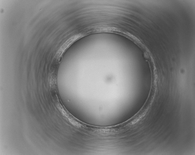 X0000051920897200507152054